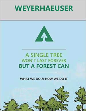 Environmental Stewardship Story PDF showing the process through which our products and operations adhere to our sustaibility strategy.