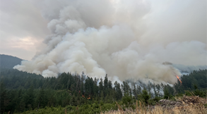 Image of the smoke billowing above the tree line during the Holiday Fire of September 2020.