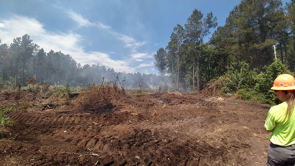Image showing land that was cleared of trees with smoke rising from the soil.