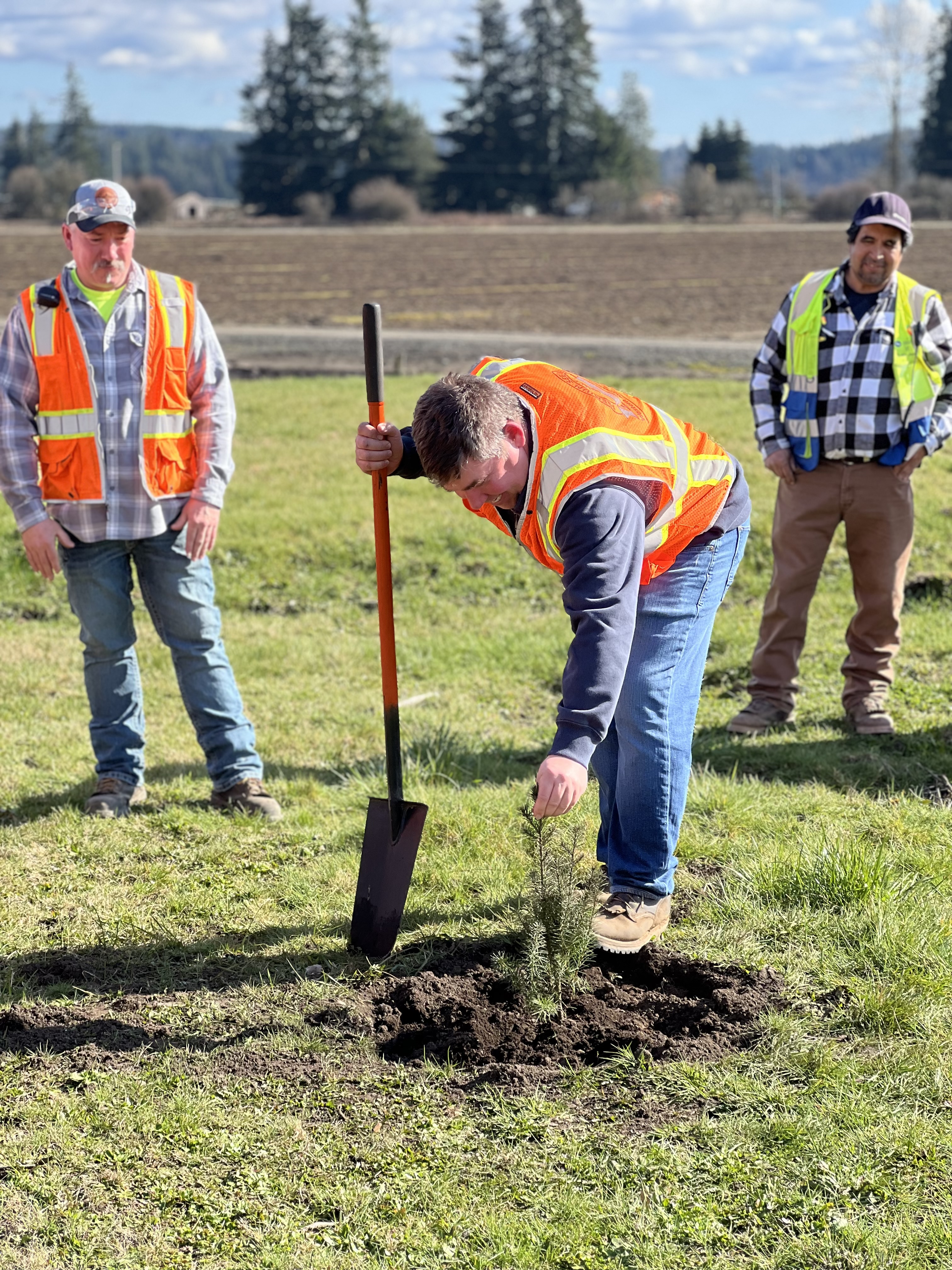 Image of Travis Keatley planting the billionth seedling from the Mima plant. Travis is bent over and placing the seedling in the ground. He has two men standing to either side behind him. All are wearing bright PPE vests.